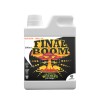 FINAL BOOM