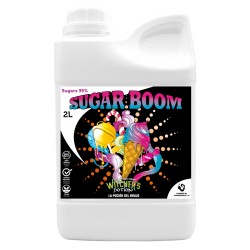 SUGAR BOOM