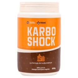 KARBO SHOCK