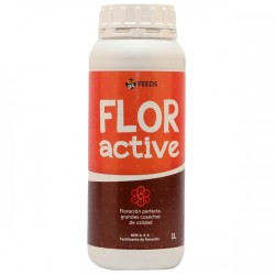 FLOR ACTIVE GREEN ALCHEMY