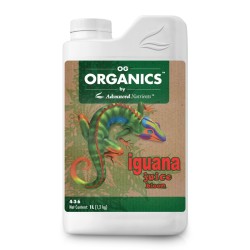 ORGANIC IGUANA BLOOM