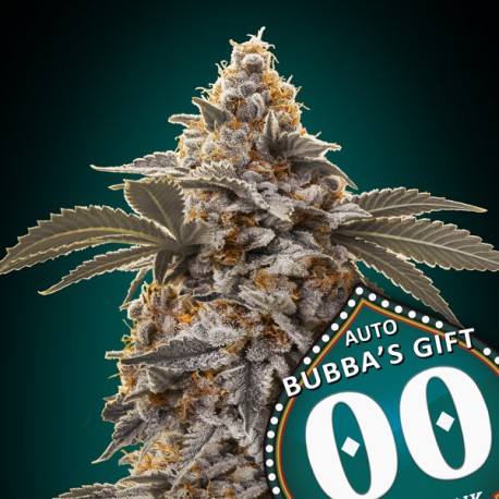 AUTO BUBBAS'S GIFT