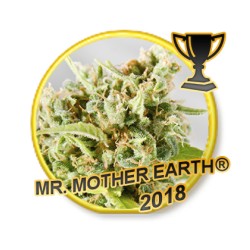 MR. MOTHER EARTH