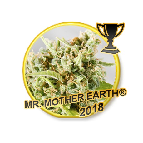 MR. MOTHER EARTH