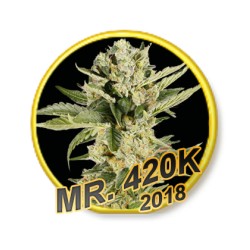MR. 420K REGULAR