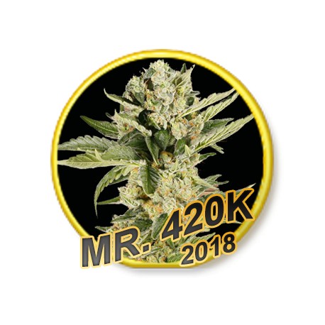 MR. 420K REGULAR