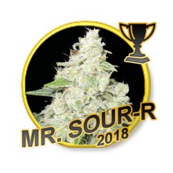 MR. SOUR-R REGULAR