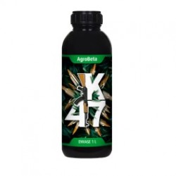 K 47