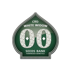 WHITE WIDOW CBD
